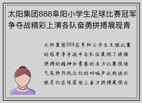 太阳集团888阜阳小学生足球比赛冠军争夺战精彩上演各队奋勇拼搏展现青春风采
